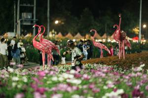 BIB: 
                            <button type="button" onclick="openModal(27337306)" class="btn btn-primary btn-sm float-right btn-popup" data-toggle="modal" data-target=".modal-high-quality">
                        <i class="fas fa-shopping-cart"></i> Add to Cart
                    </button>
                                            <button type="button" onclick="isThisMe(27337306, true)" class="btn btn-success btn-sm float-right btn-popup btn-isme hidden" data-toggle="tooltip" data-placement="bottom" title="นี่คือรูปของคุณใช่ไหม คลิกที่นี่เพื่อเอาเข้าอัลบั้ม">
                        <i class="fas fa-plus"></i> Add to album
                    </button>
                    <button type="button" onclick="isThisMe(27337306, false)" class="btn btn-warning btn-sm float-right btn-popup btn-isnotme hidden">
                        <i class="fas fa-ban"></i> Remove from album
                    </button>